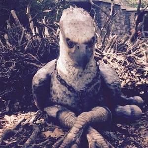 Meet your Posher, Loyda